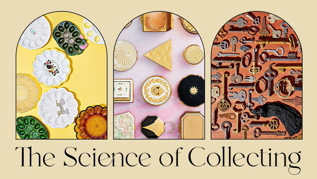 Why do we collect? It’s an art, but the experts say it’s also part of our DNA