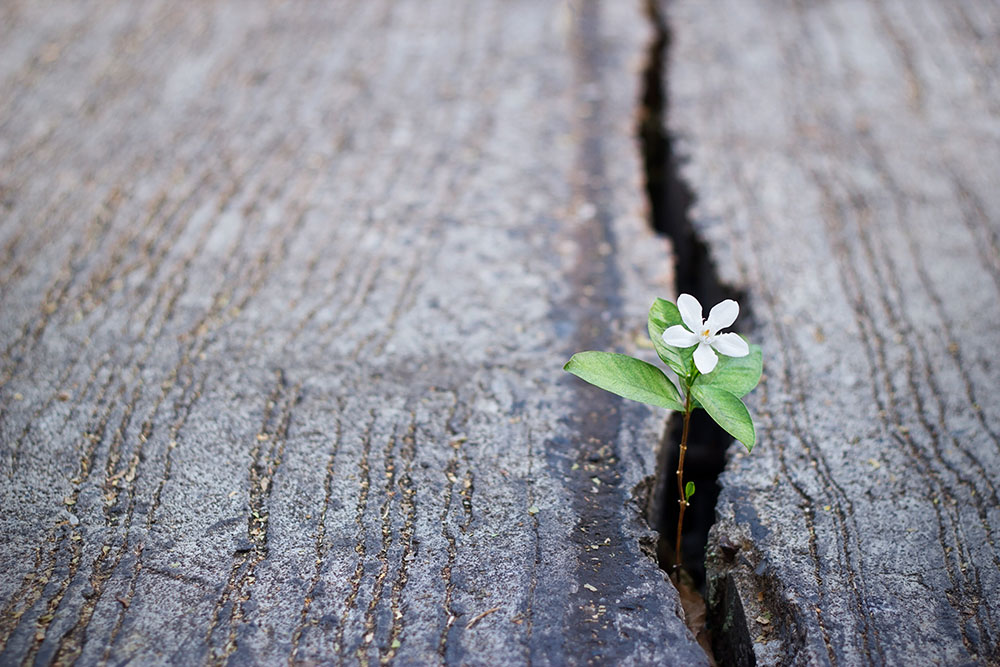 A reason to hope
